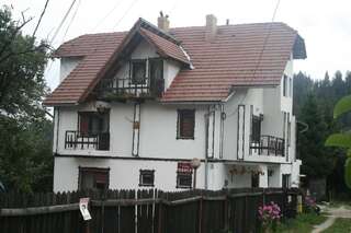 Гостевой дом Pensiunea Bianca Бран Двухместный номер с 1 кроватью и балконом-4